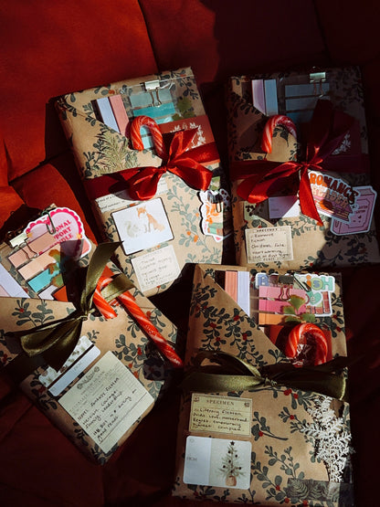 "blind date with a book!" (HOLIDAY EDITION)